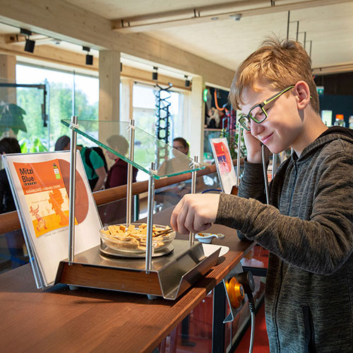 Mitzi Blue Turntables im Zotter Schoko-Laden-Theater